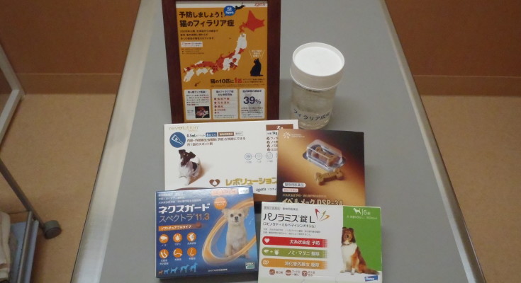 フィラリア予防を始めましょう!