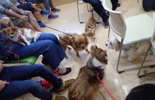 ☆子犬しつけ相談会☆